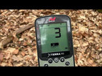Video Minelab X-Terrro PRO